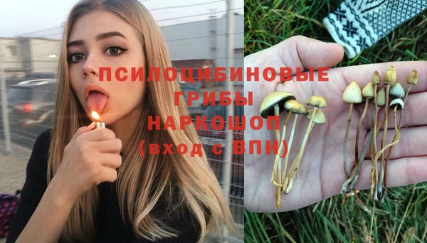 дживик Краснотурьинск