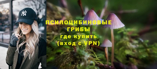 прущий лед Краснослободск