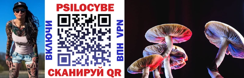 Купить  Западная Двина  Псилоцибиновые грибы MAGIC MUSHROOMS 